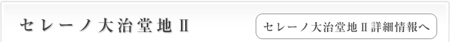 セレーノ堀之内Ⅱ